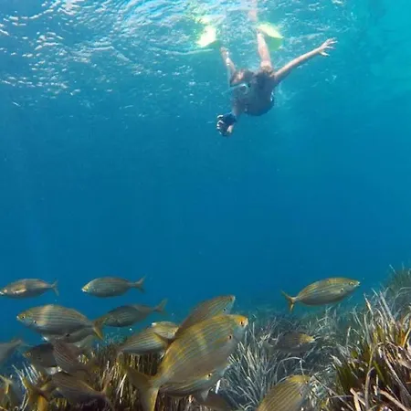 شقة A802 - Atrium 4